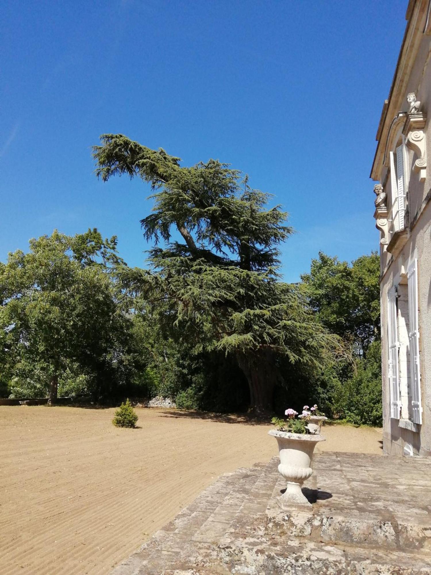 Chateau De Colliers Muides-sur-Loire Oda fotoğraf