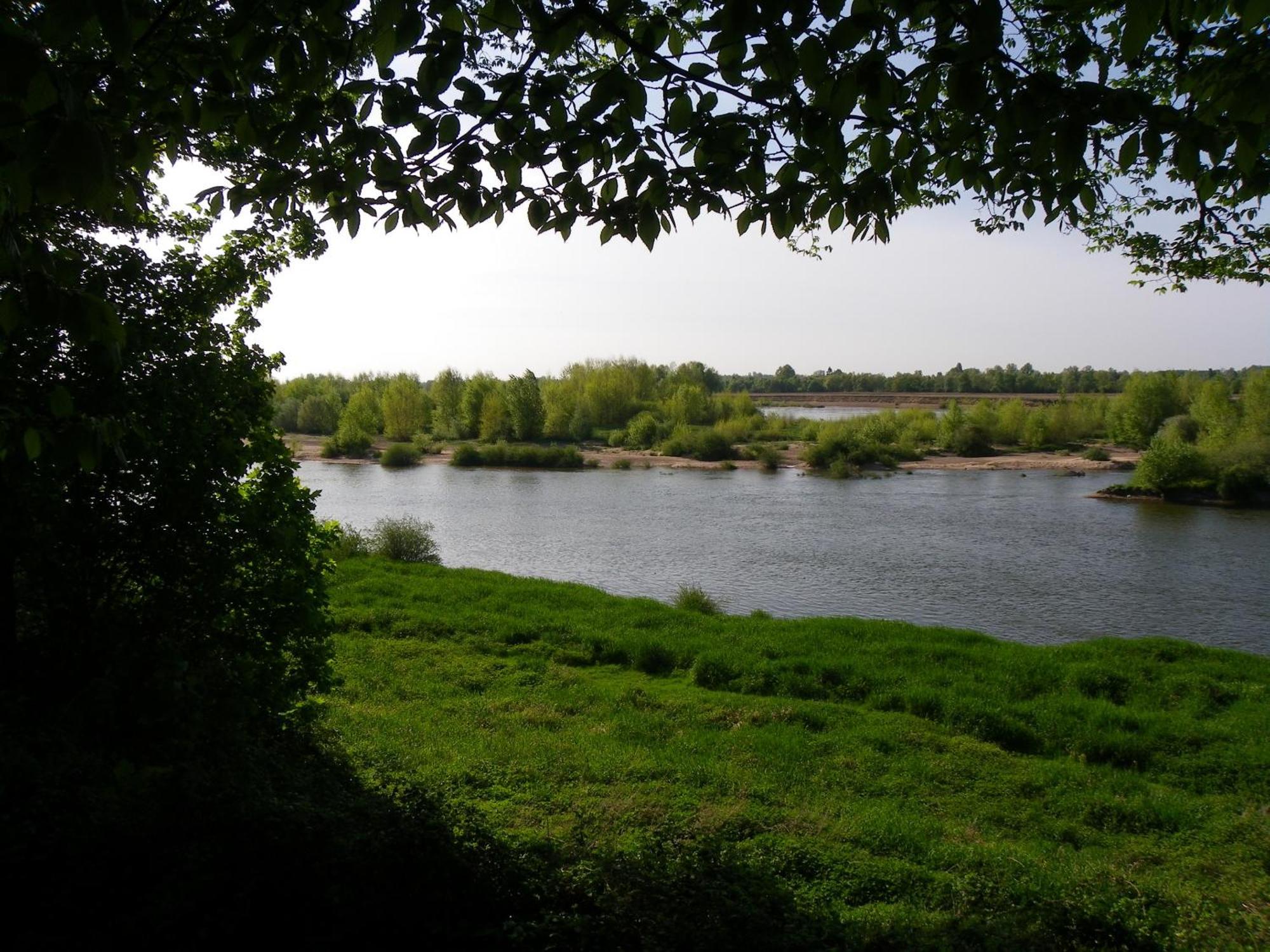 Chateau De Colliers Muides-sur-Loire Dış mekan fotoğraf