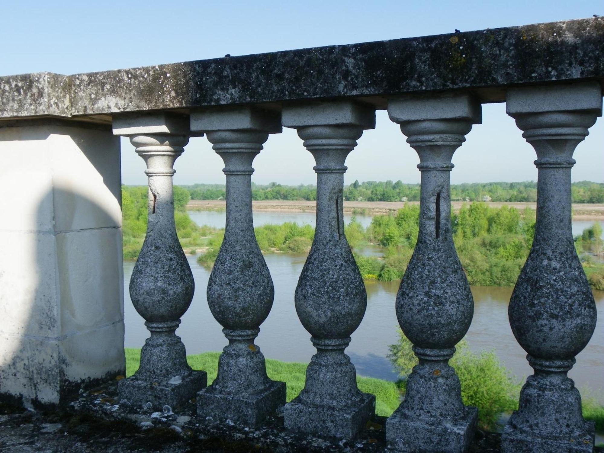 Chateau De Colliers Muides-sur-Loire Oda fotoğraf