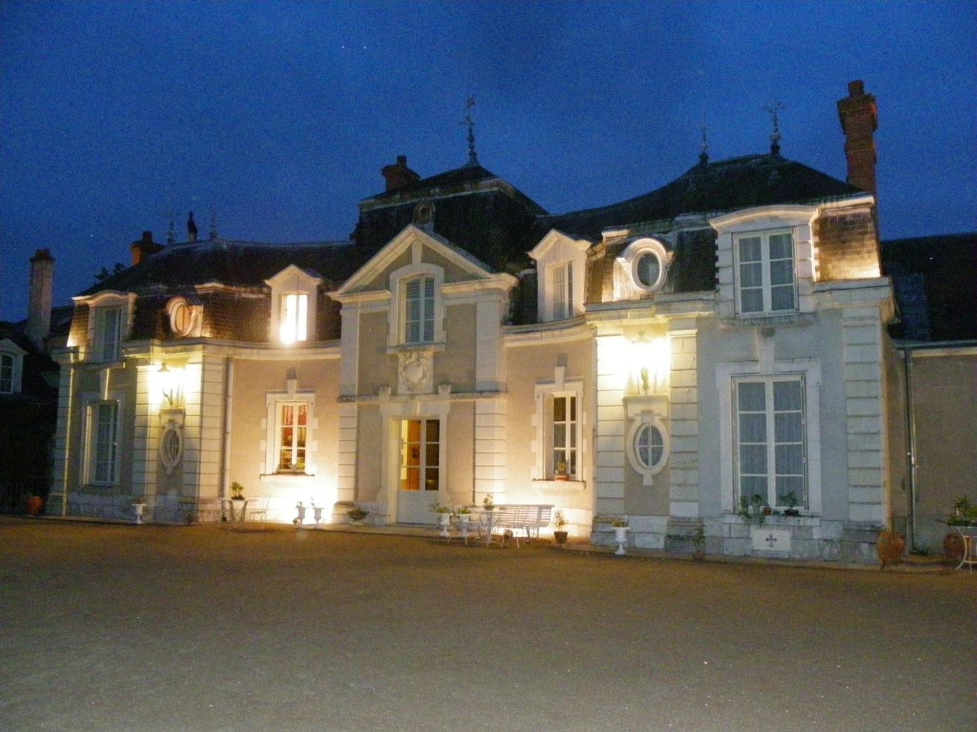 Chateau De Colliers Muides-sur-Loire Dış mekan fotoğraf
