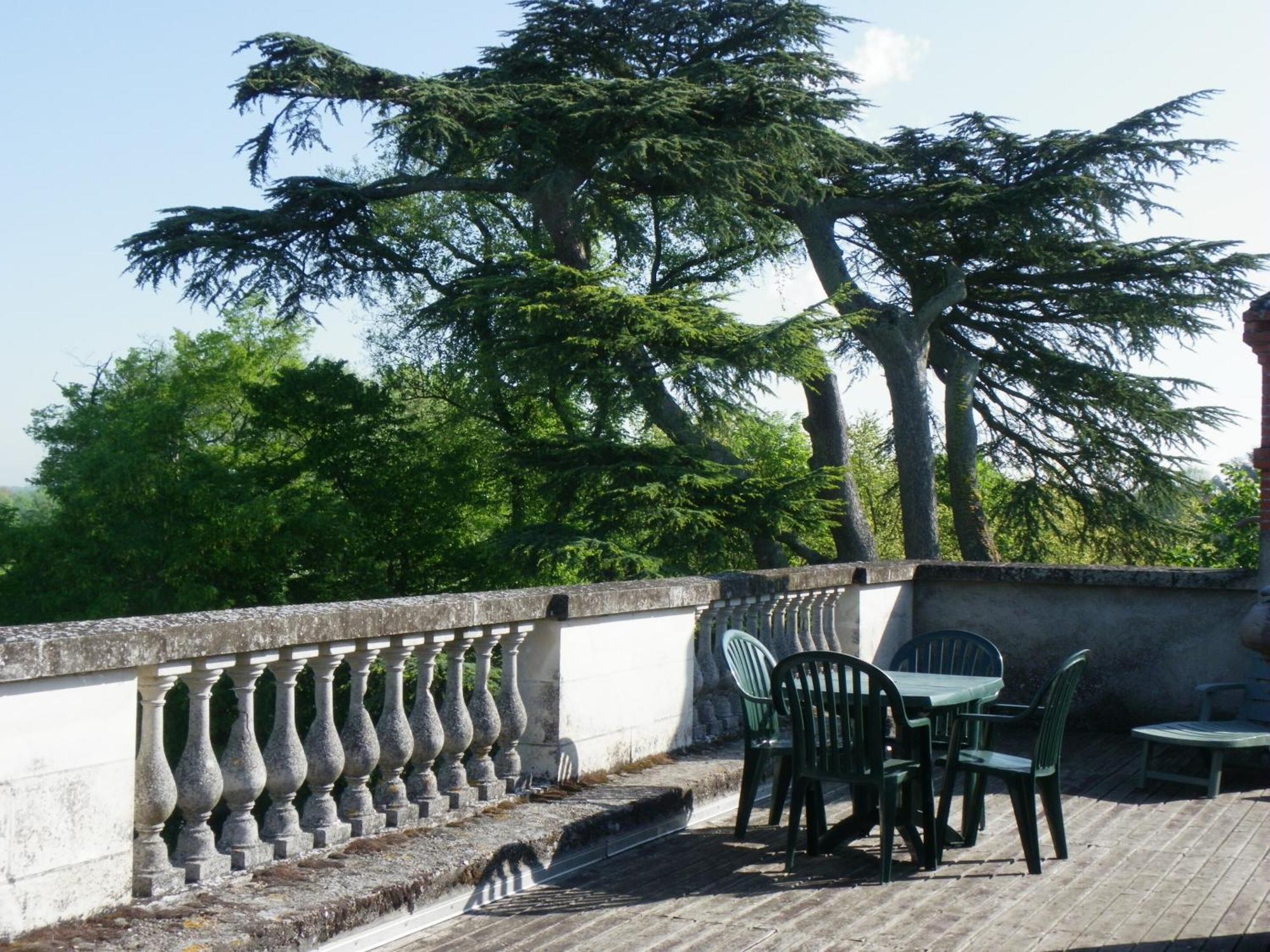 Chateau De Colliers Muides-sur-Loire Oda fotoğraf