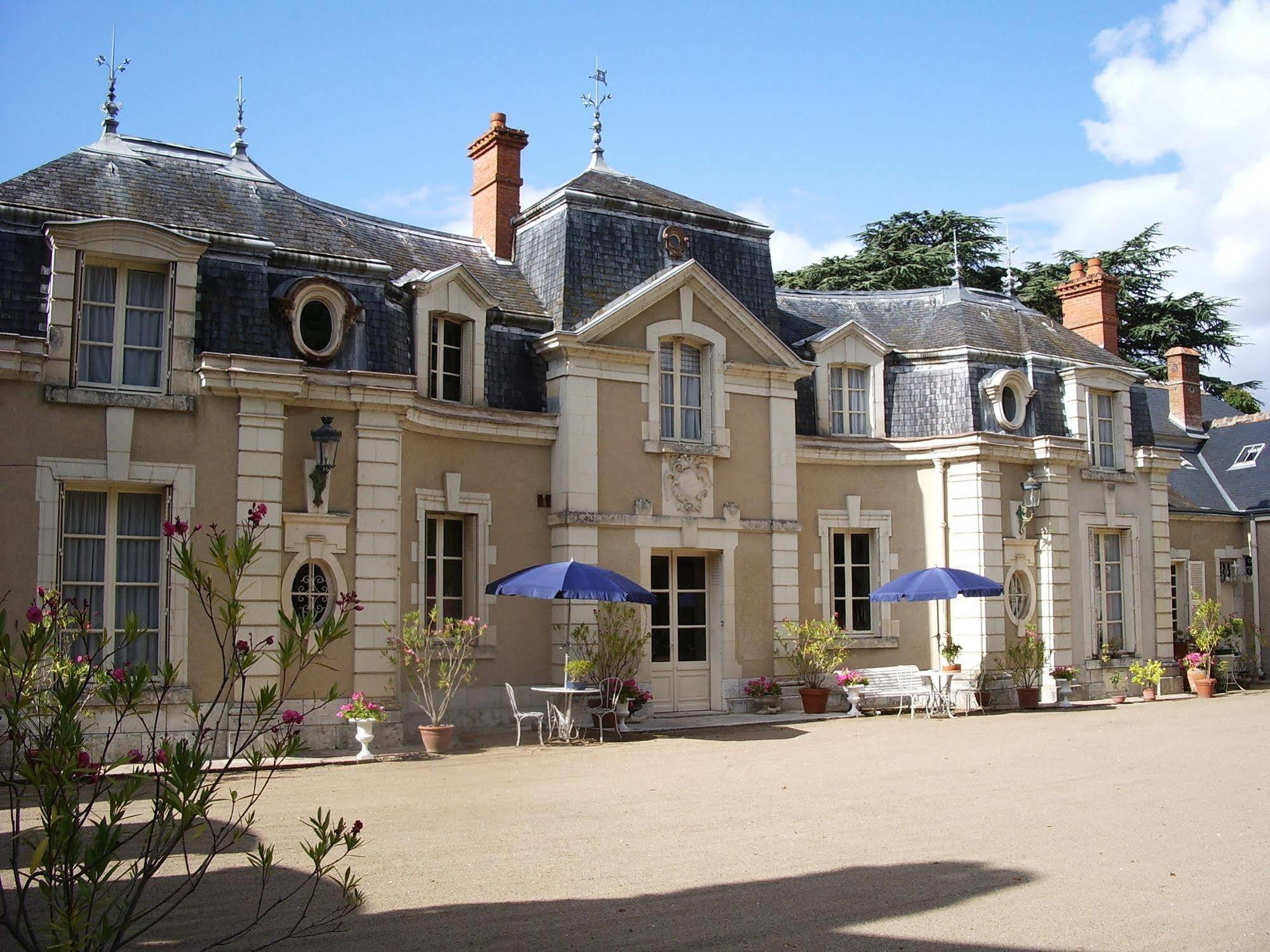 Chateau De Colliers Muides-sur-Loire Dış mekan fotoğraf